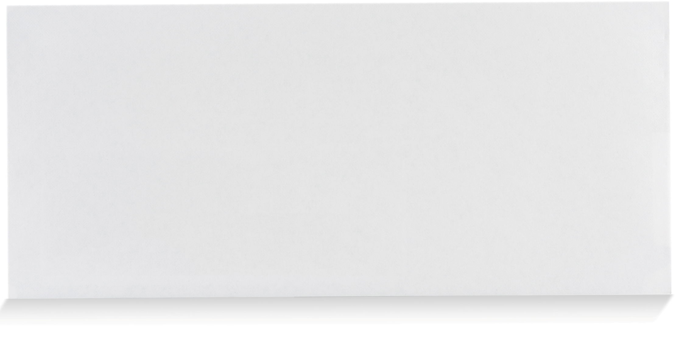 #10 Gummed Security Envelopes